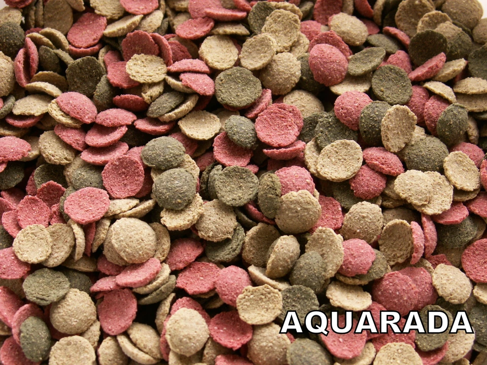 AQUARADA Wafers Mix 100ml Algen Wafers Welsfutter Fischfutter Aquarium Welstabletten