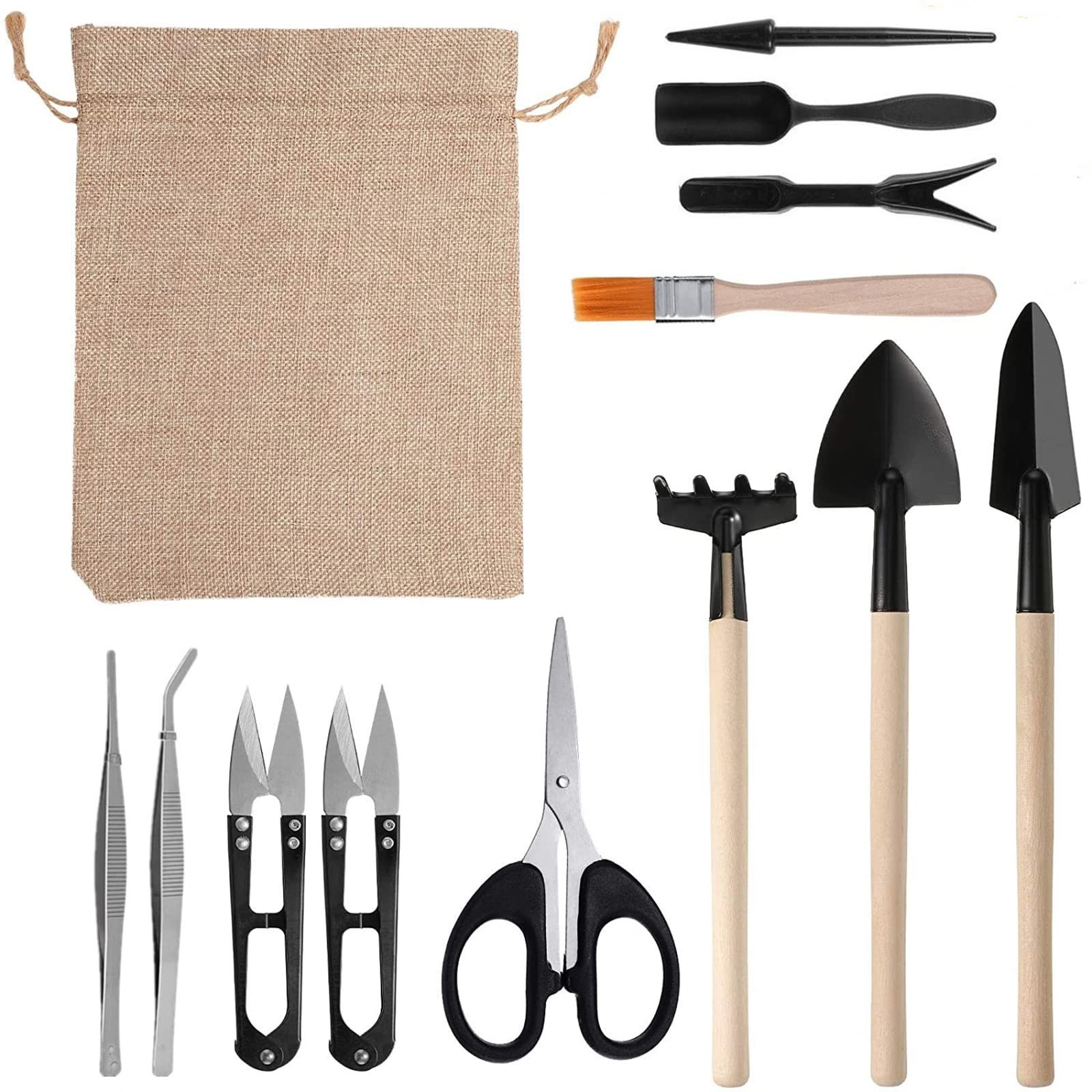 Kit de Jardin Succulente pour Créer votre Terrarium Maison avec 12 Accessoires Précis
