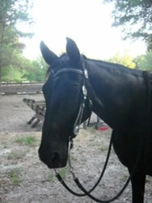 Silver Beaded Leather VBrow Western Bridle Headstall Praying Cowboy Concho 12644
