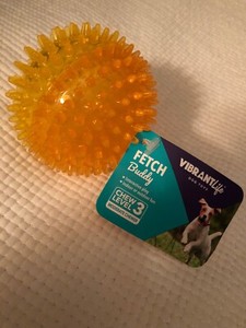 vibrant life fetch buddy