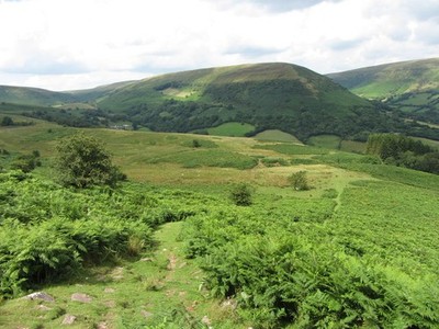 Photo A3 Hillside above Capel-y-ffin  c2013