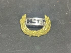 U.S CIVIL WAR C.S.A CAP BADGE REBEL HAT PIN CSA CONFEDERATE STATES *Replica*