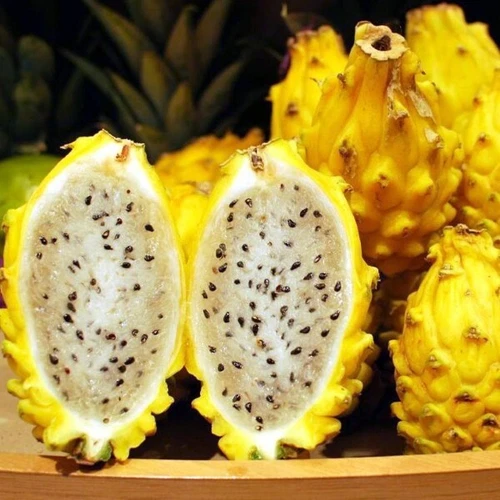Sweet Yellow Dragon fruit/ Pitahaya - 40 Seeds 2024 - USA