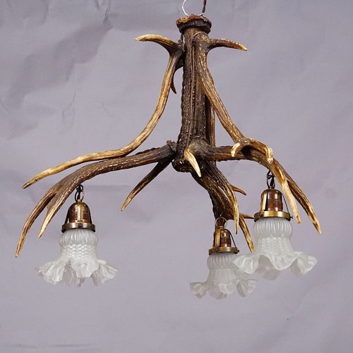 Large Black Forest Ceiling Lamp with Deer Antlers - Picture 2 of 7