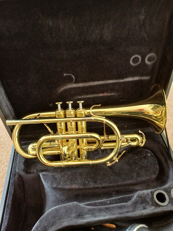 GENEVA Mentor Bb eBay