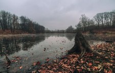 Landscape fall leaves stream dead trees water lake Custom Gaming Mat Desk