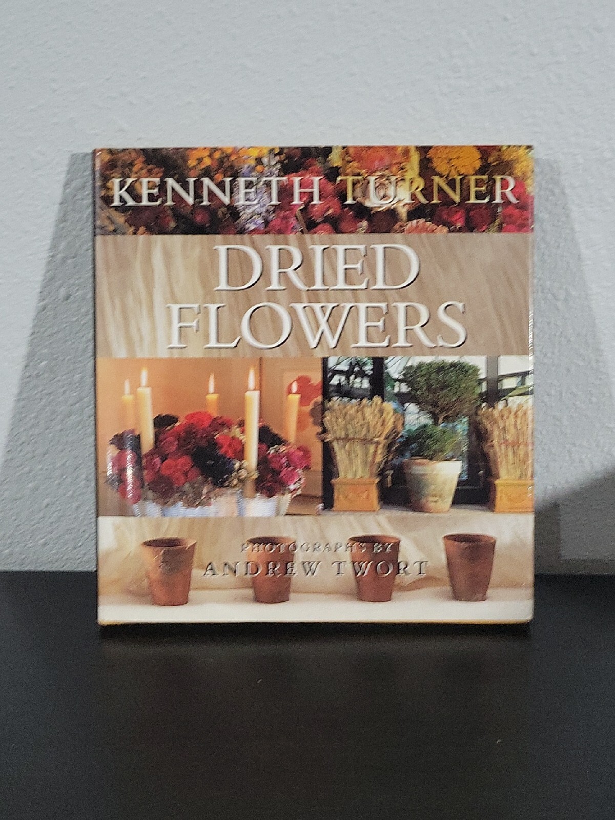 Dried Flowers by Turner, Kenneth HC + DJ-image
