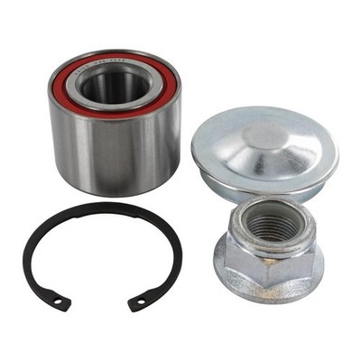 RADLAGER SATZ HINTEN für DACIA LOGAN SANDERO RENAULT CLIO MEGANE TWINGO VAICO