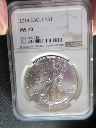 2014 American Silver Eagle 1 oz .999 MS 70 NGC US #6538368-038