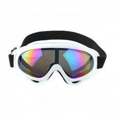 Professional Ski Goggles Winter Snow Anti Fog Dual Lens UV Protection Men Women