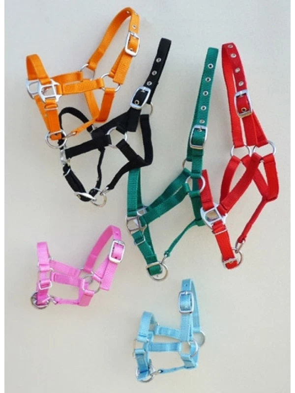 Fohlenhalfter für Mini Shetty und Shetty extra klein  Viele Farben DHL- Versand - Bild 2 von 4