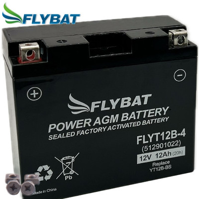 Batterie für Yamaha XVS 650 Drag Star 4VR 2000 FlyBat YT12B-BS AGM geschlossen