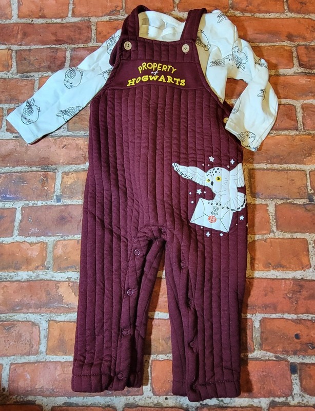 Harry Potter baby Overall Shirt Set Sz 18 Months hedwig