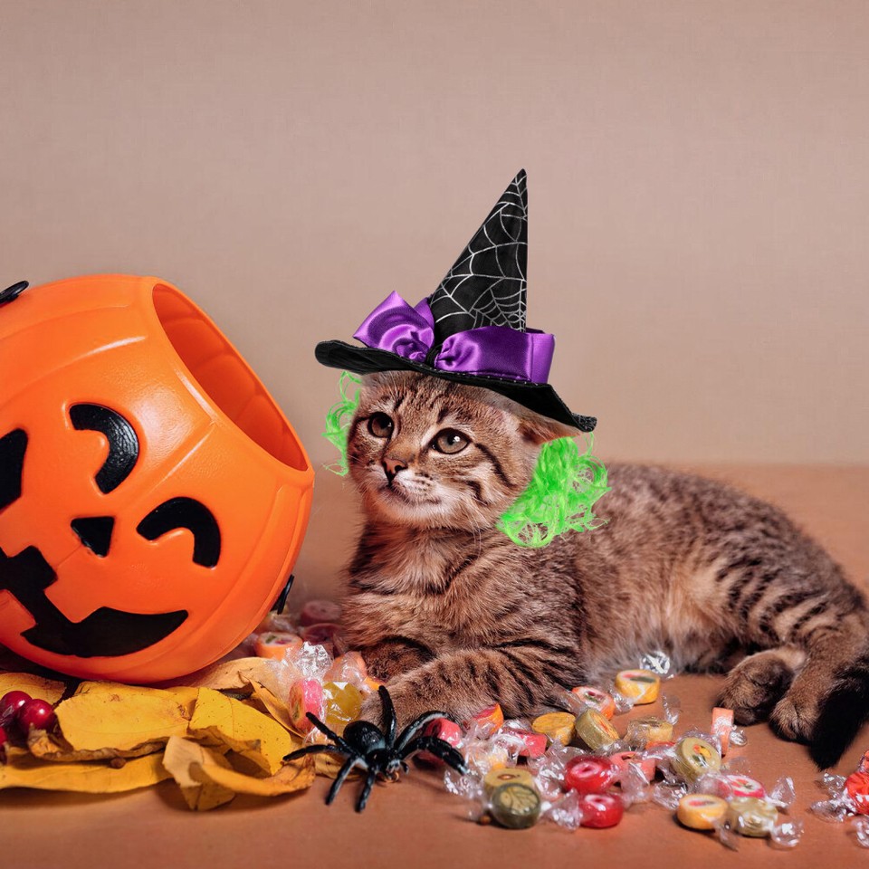 Pet Hat Witch Costume Cat for Large Dog Wizard Pets Halloween Headwear