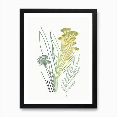 Fenchelsamen Gewürze und Kräuter Minima gerahmtes Wandbild Poster Leinwanddruck Bild