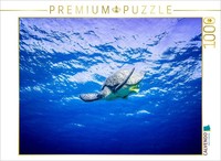 Calvendo Puzzle SuppenschildkröTe In ÄGypten | 1000 Teile Lege-GrößE 64X48Cm Fot