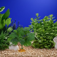  Aquarium Plant Reptile Habitat Decorations Amphibian Terrarium Bearded Dragon