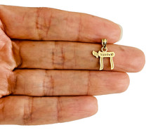 14K Solid Yellow Gold Chai Charm Pendant- 15mm x 11mm Hebrew Letter Life- PT1511