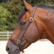 Dy'on Fancy Leather Grooming Halter, Full/Brown - used