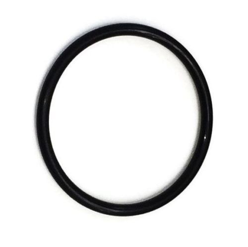 PENTAIR RAINBOW 300 CHLORINATOR LID O 