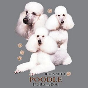 Poodle Size Chart