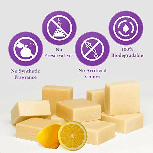 Seborrheic Dermatitis Treatment Probiotic Soap w/ Lemon Scent (4oz) eBay