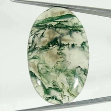 36.00Cts Natural Green Moss Agate Oval Cabochon Loose Gemstone 23x37x5mm