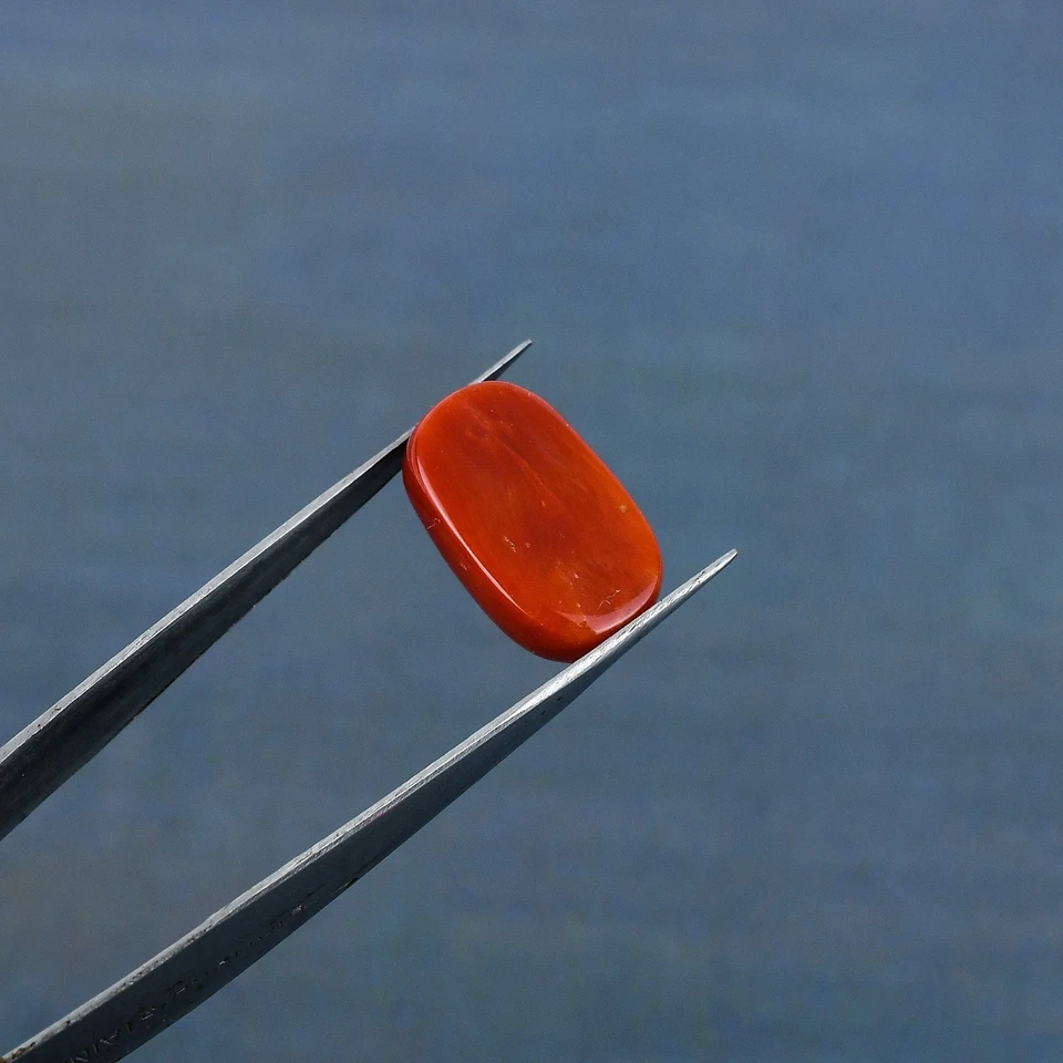 Natural Coral 7.55 Carat Moonga Cyllindrical Shape Unheated 3.0-4.0 Hardness - Image 3 of 4