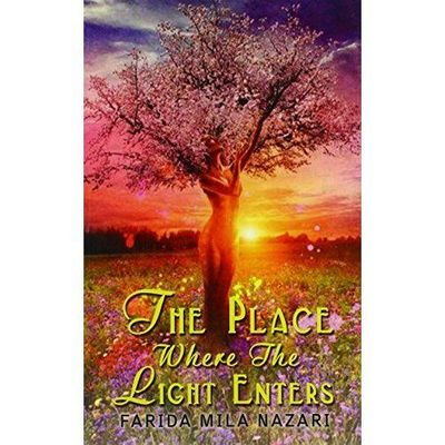 The Place Where the Light Enters by Nazari, Farida Mila
