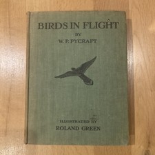 Birds In Flight by W.P. Pycraft Illustrated by Roland Green (Vintage 1922)