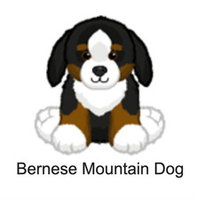 Webkinz Classic Bernese Mountain Dog Code Pet of the Month August 2026 POTM