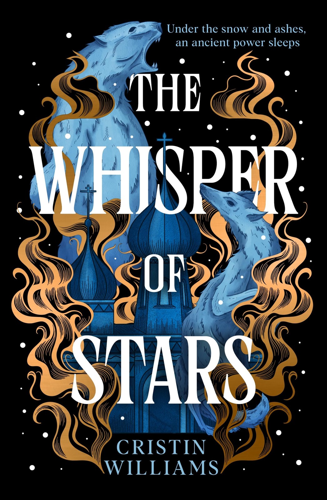 The Whisper of Stars by Cristin Williams Hardback - Image 4