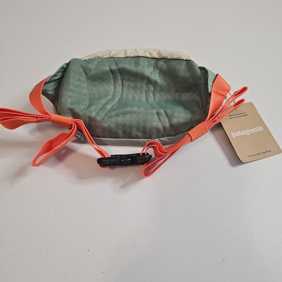 NEW NWT Patagonia Terravia Mini Hip Pack 1L Lichen Green 49448 Hip