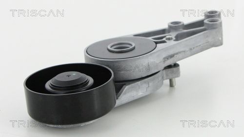 Triscan Spannarm, Keilrippenriemen 8641 293009 FüR Audi Seat-image