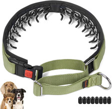 No Pull Dog Collar Martingale, Green, M Neck Cir 14.5"-18.5"