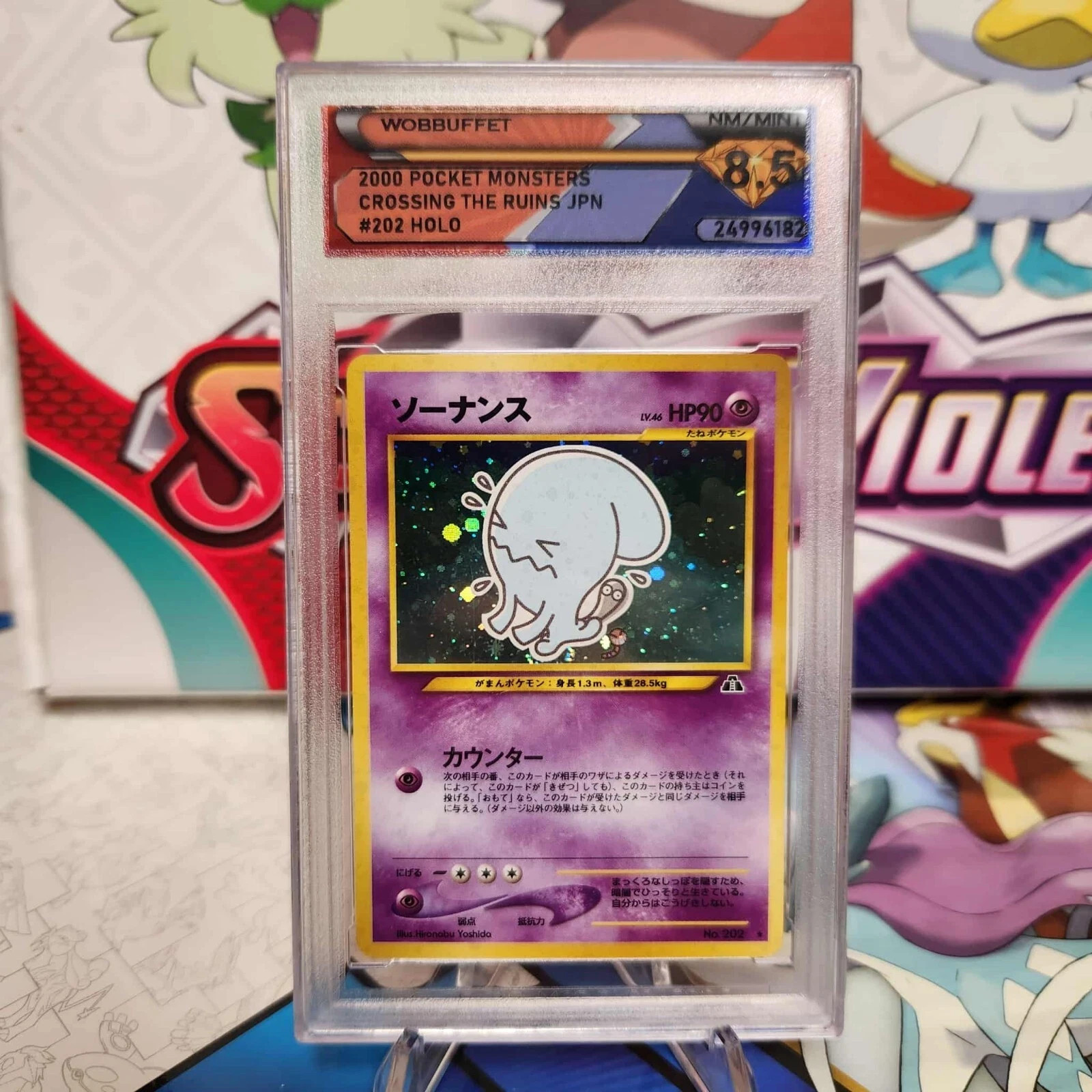 DSG 8.5 Wobbuffet 202 Holo Rare - Crossing the Ruins - Pokemon TCG - SHIPS FAST