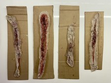 One of a kind Prosthetic Zombie Wounds (x4) from Real Horror Feature Film Pilot.