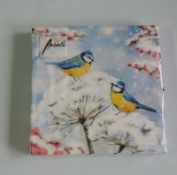 20 Servietten VöGel Meisen 1 Packung Ambiente Vogel Winter Schnee Hagebutten