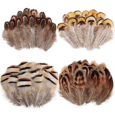 120pcs Natural Feathers Small 4 Styles Bulk for DIY Crafts Hat Wedding Home P...