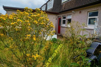 Foto A3 Tiverton : Holly Close House Tiverton \/SS9512 A house on Holly um 2021