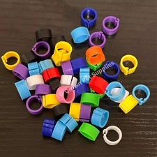 100Pcs Leg Bands Plastic fit for Pigeons Parrots Quail Birds Leg Rings ID Tags