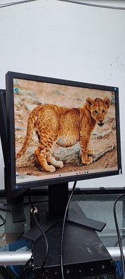 Eizo Flexscan S2133 21.3'' 4:3 IPS Panel Monitor 1600x1200 Diagnostic Display