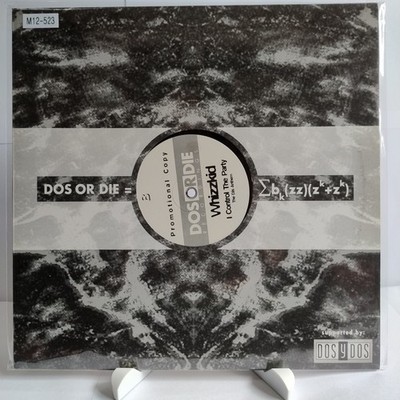Whizzkid   I Control The Party (The DJs Anthem), 12'' Vinyl (G+/G+), M12-523