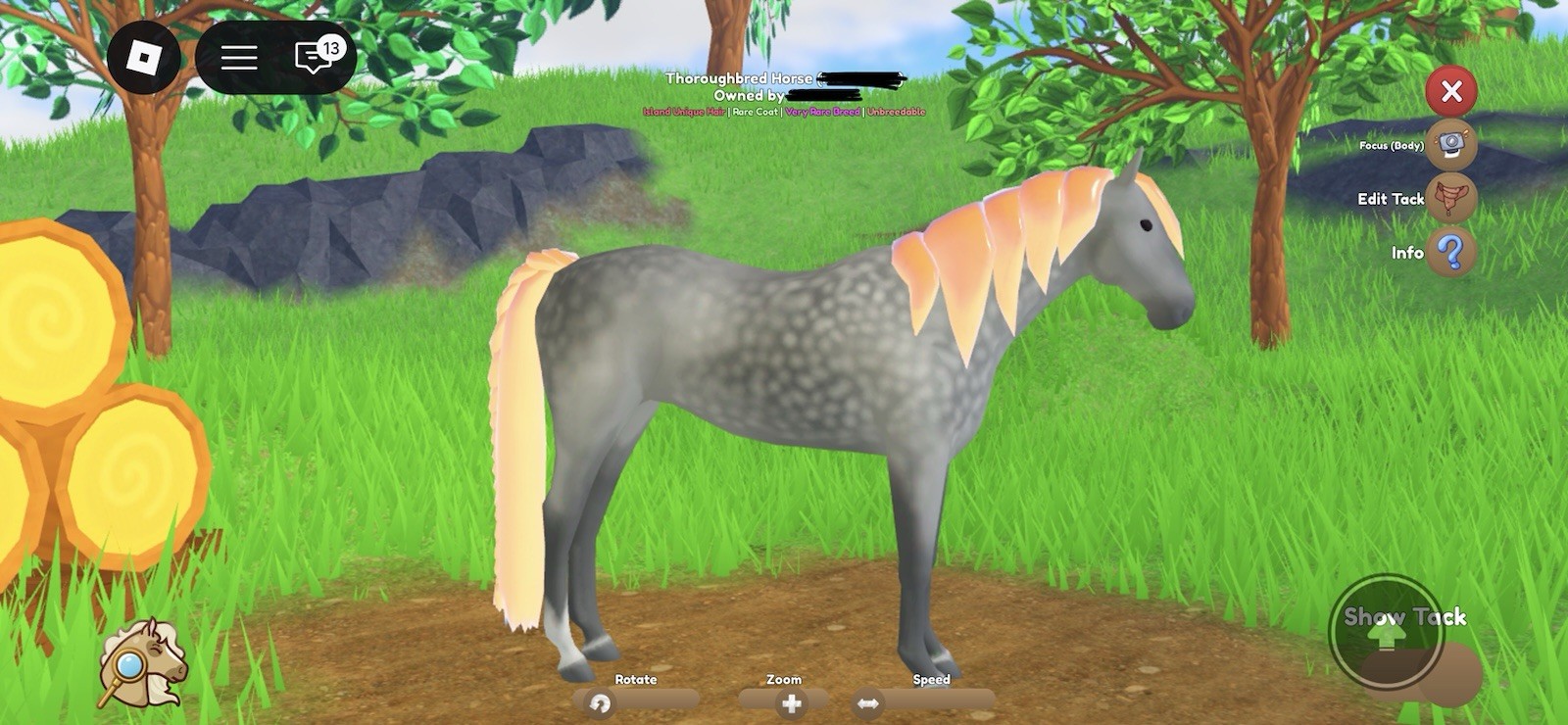 Wild Horse Islands Thoroughbred Dg RC +6 sped pearly orange Roblox