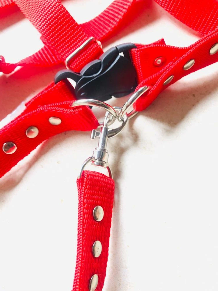 Dog Harness Pet New Nylon Durable Reflective Adventure Outdoor Safety Adjustable