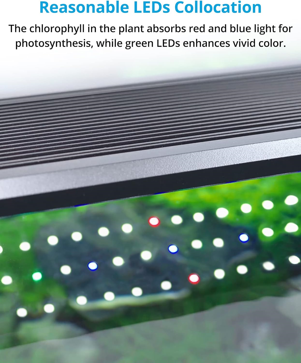 NICREW ClassicLED Plus Planted Aquarium Light, Full Spectrum LED Fish