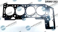 Kopfdichtung Fiat Ducato 2.3JTD 06-