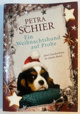 Ein Weihnachtshund auf Probe