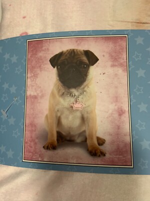 Puppy Pug Dog Throw Blanket Plush w/ Sherpa Reverse Blanket Cute 50'' x 60''