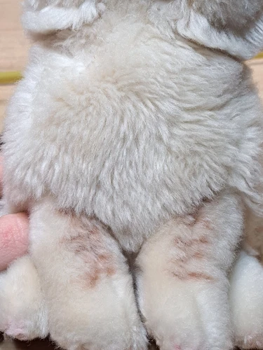 Gund Grumpy Cat Plush Stuffed Animal Kitty 9" Siamese Sitting Blue Eyes - Picture 5 of 11